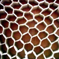 Cens.com Honeycomb Board BAO CUU PHONG CO., LTD.