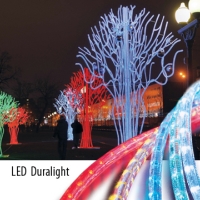 LED Duralight