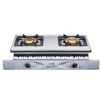 Double-burner Gas Hob/Stove (Built-in Model, W/Overheating Preventer)