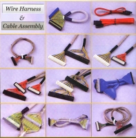 Wire Harness 