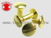 Brass Binding Post Screw / Chicago screw