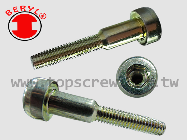 CYLINDER SCREW