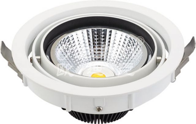 LED Downlight