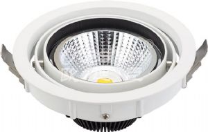 LED Downlight