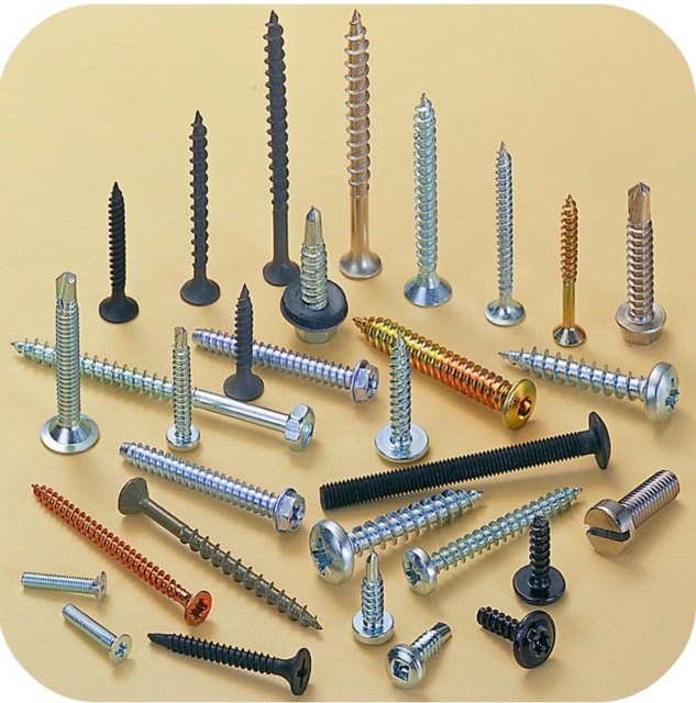 Ray Fu supplies a broad array of fasteners including self-drilling screws, chipboard screws, roofing screws, etc.