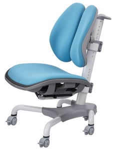 CS-299B ergonomic double-backed learning chair.