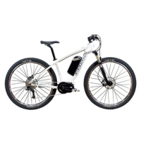 E29 E-bike