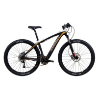 C29 Mountain Bike