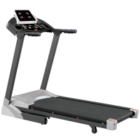 Motorized Treadmill