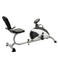 Recumbent Bike