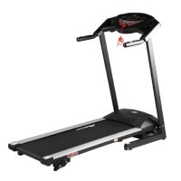 Motorized Treadmill