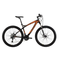 GALLANT 7.0(SRAM X7)