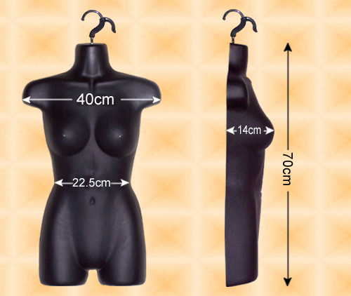 Free-Hanging Ladies’ Torso--High Waist