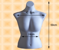 Female Torso Mannequin