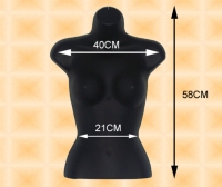 Female Torso Mannequin