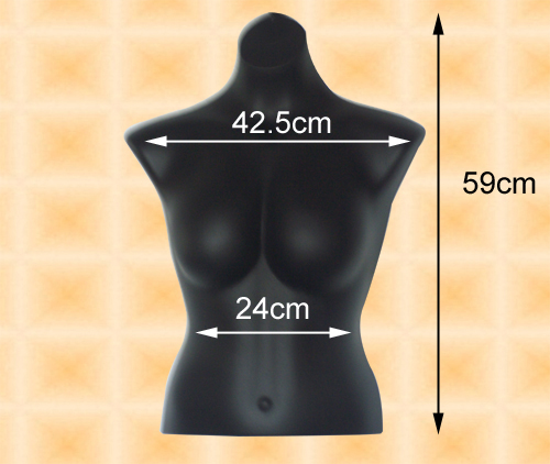 Female Torso Mannequin