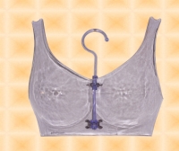 Brassiere Form  