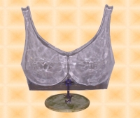 Brassiere Form w/Stand