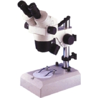 Stereo Microscopes