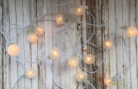 Decorative Lights/Christmas Lights/Neon Lights