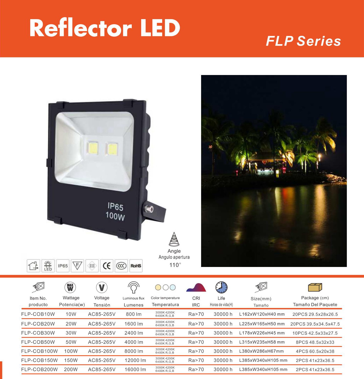 FLOOD LED COB