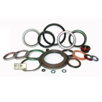 Oil Seals