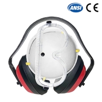 3PCS EARMUFF, GOGGLE, MASK COMBINATION SET