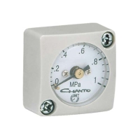 Pressure Gauge