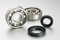 Bearing Kits