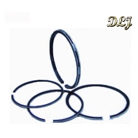 Piston Ring