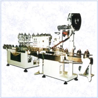 Fully Automatic Quantified/ Positioned Liguid Filling Machine