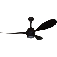 Ceiling Fan Light