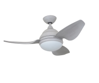 Ceiling Fan Light