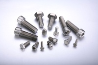 Stainless Steel  Screws