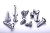 Stainless Steel Tapping Screws