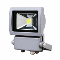 LED Flood Light