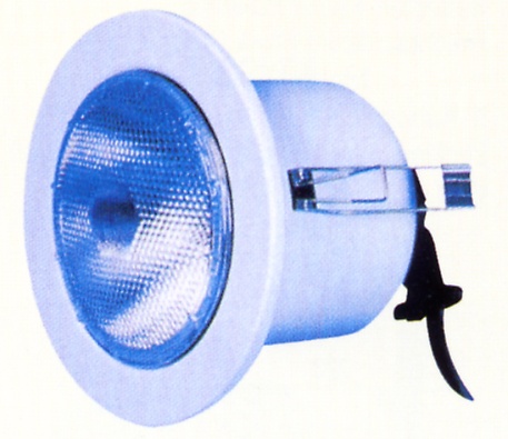 Mains Downlight