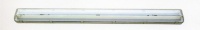 T8 Fluorescent tube