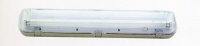 T8 Fluorescent tube