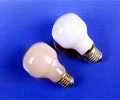 Low Voltage Miniature Halogen Lamps