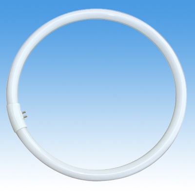 Circle Lamp