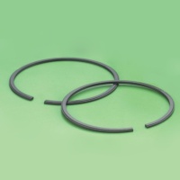 Piston Ring