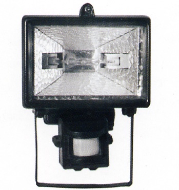 Floodlight with Sensor