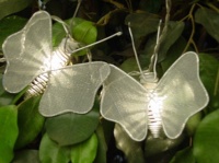 Metal Mesh Butterfly B String Light 