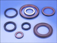 SHAFT SEALS