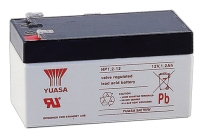 Valve Regulated Lead Acid Battery