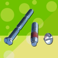 Slotted-head Screw