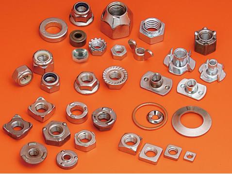 Stainless Steel Nuts