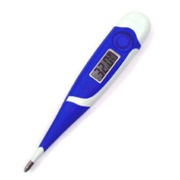 Digital Thermometer