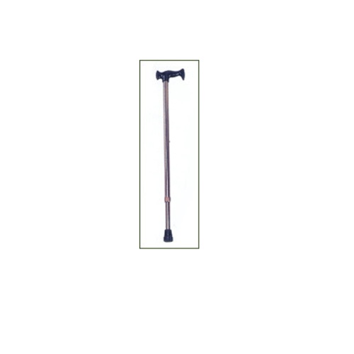 Cane with T grip--1